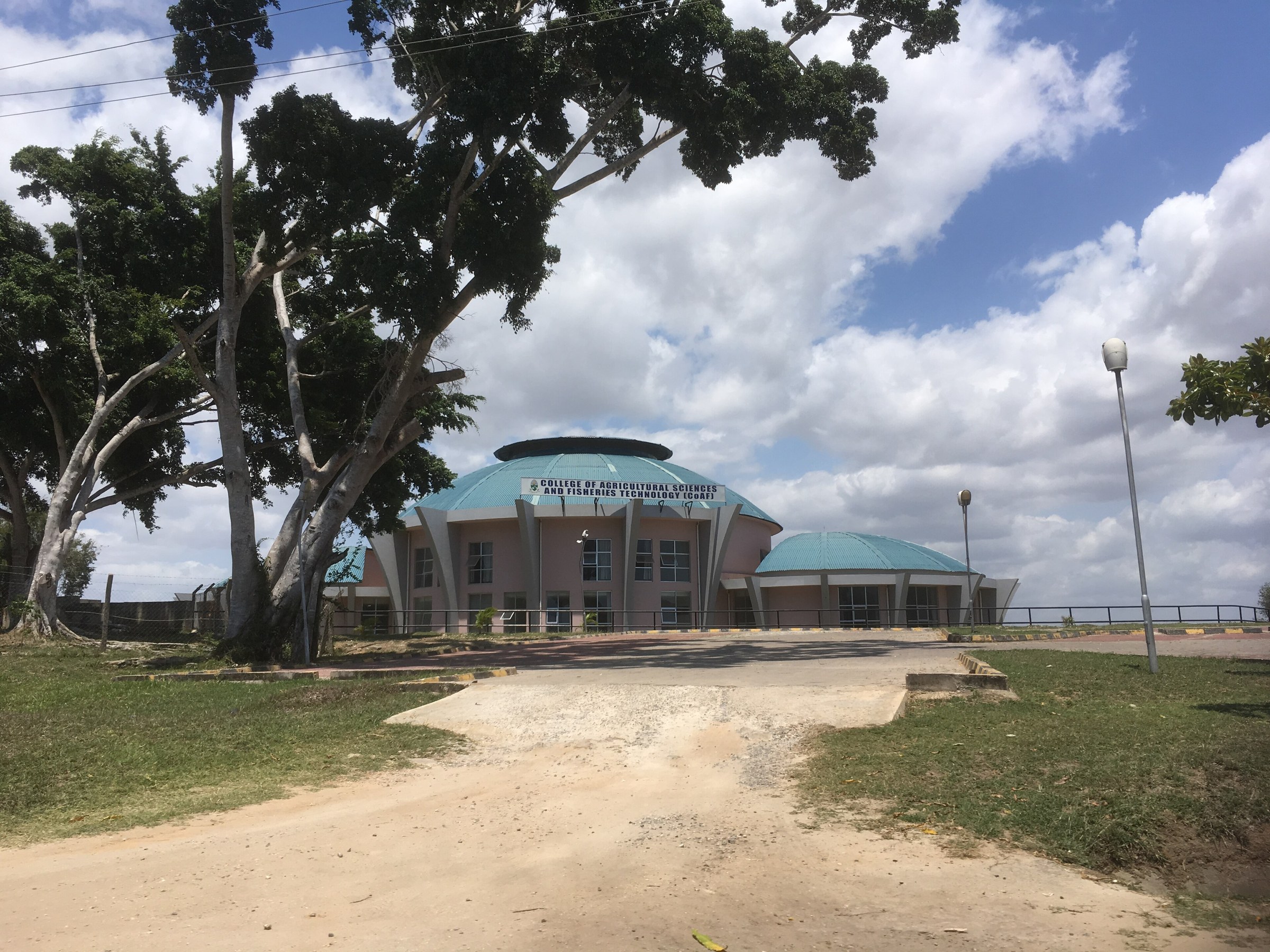 University of Dar es Salaam